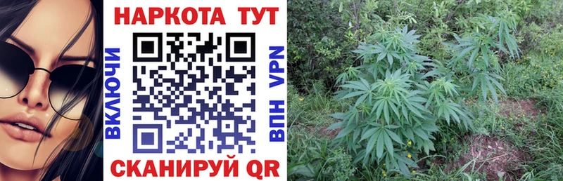 Продажа наркотиков Пятигорск ГАШИШ