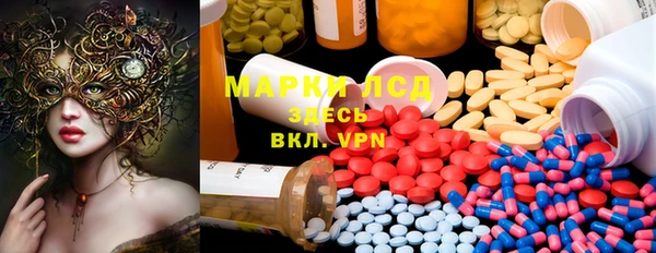 ГАЛЛЮЦИНОГЕННЫЕ ГРИБЫ Баксан