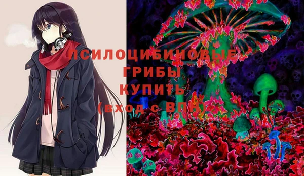 ГАЛЛЮЦИНОГЕННЫЕ ГРИБЫ Баксан