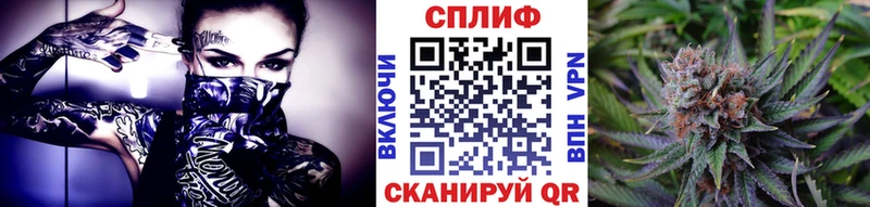 мориарти как зайти  Пятигорск  МАРИХУАНА VHQ 